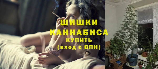 мдма Новодвинск